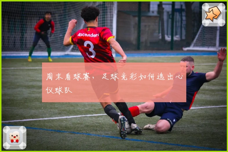 周末看球赛,足球竞彩如何选出心仪球队