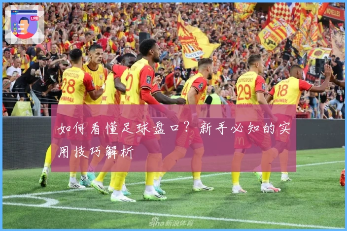 如何看懂足球盘口？新手必知的实用技巧解析