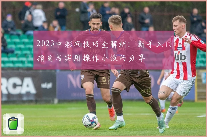 2023中彩网技巧全解析：新手入门指南与实用操作小技巧分享