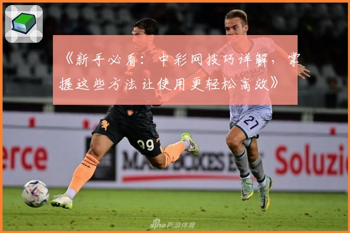 《新手必看：中彩网技巧详解，掌握这些方法让使用更轻松高效》