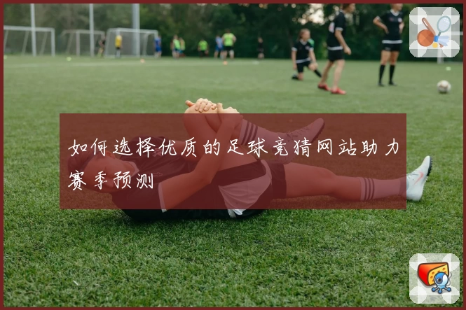 如何选择优质的足球竞猜网站助力赛季预测