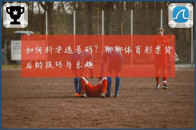 如何科学选号码？聊聊体育彩票背后的技巧与乐趣