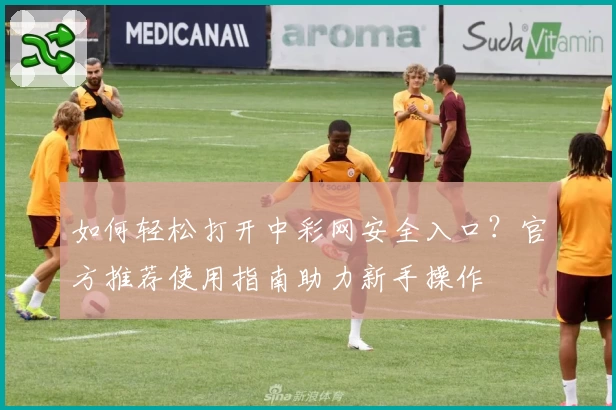 如何轻松打开中彩网安全入口？官方推荐使用指南助力新手操作