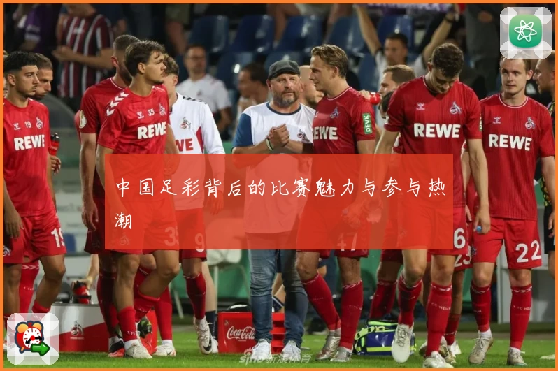 中国足彩背后的比赛魅力与参与热潮