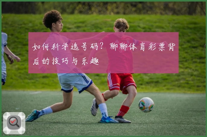 如何科学选号码？聊聊体育彩票背后的技巧与乐趣